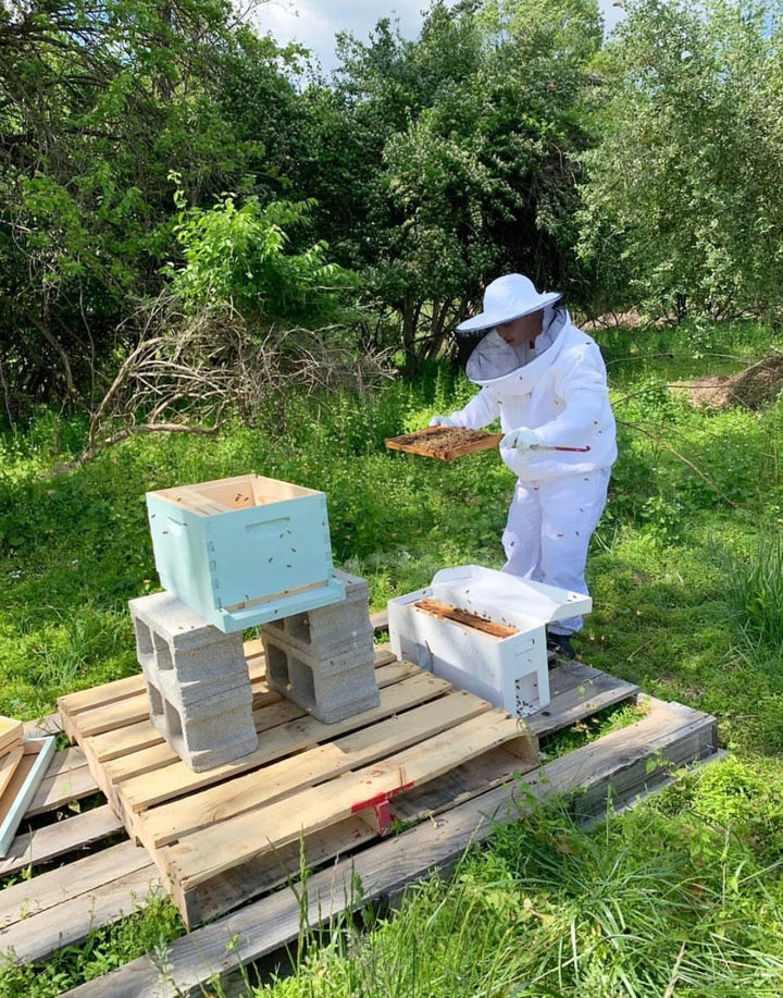 Pollinator Week 2020: The Importance of Coming Together to Support Our Pollinators